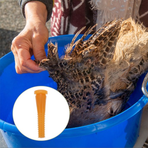 Pcs plumeuse poulet - 8,
